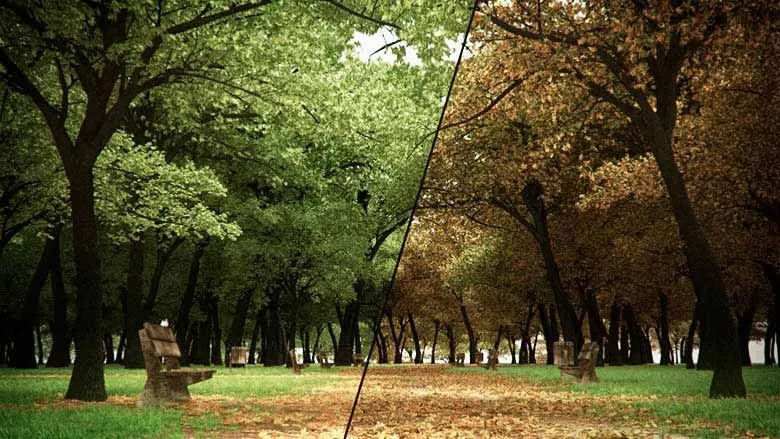 parque de otoño